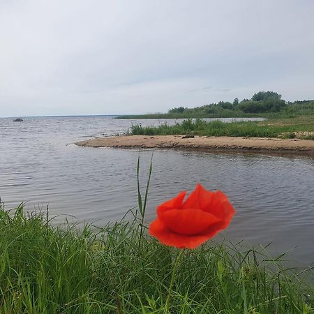 Paeevatalu Camping Hotell Vilusi Exteriör bild