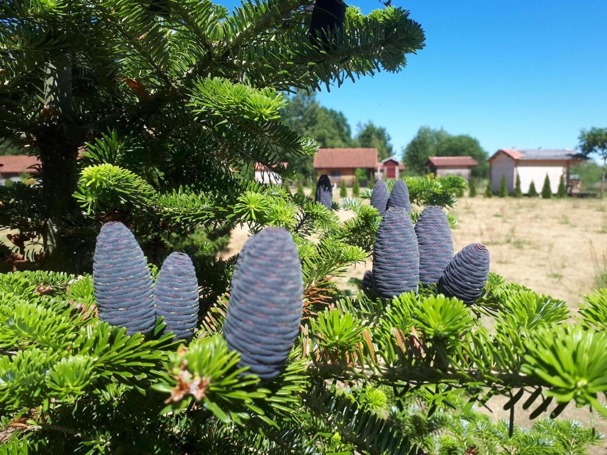 Paeevatalu Camping Hotell Vilusi Exteriör bild