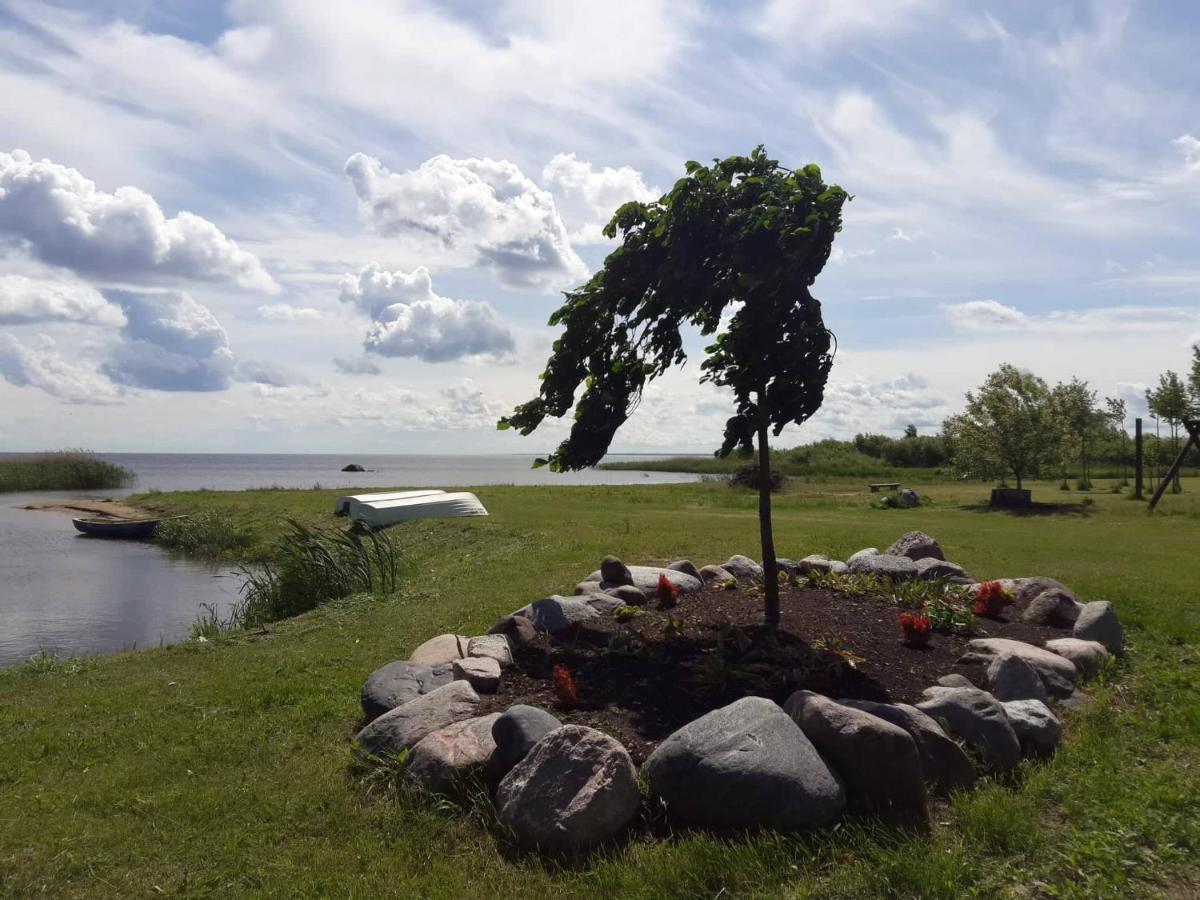Paeevatalu Camping Hotell Vilusi Exteriör bild