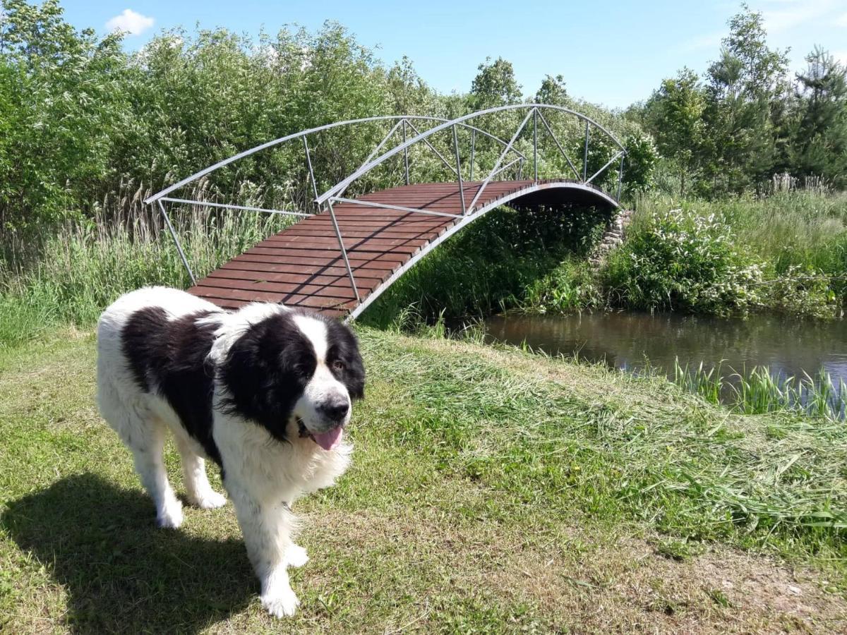 Paeevatalu Camping Hotell Vilusi Exteriör bild